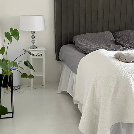 Omakotitalo Rauhallisella Sijainnilla Laehellae Keskustaa Maksuton Pysaekoeinti Ja Puusauna Apartment