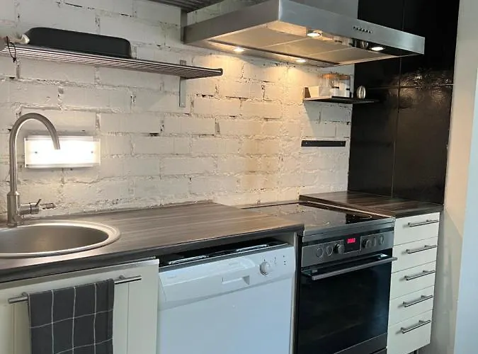 Omakotitalo Rauhallisella Sijainnilla Laehellae Keskustaa Maksuton Pysaekoeinti Ja Puusauna 公寓 *