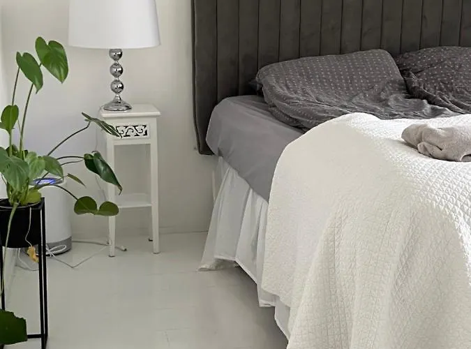 Omakotitalo Rauhallisella Sijainnilla Laehellae Keskustaa Maksuton Pysaekoeinti Ja Puusauna 公寓